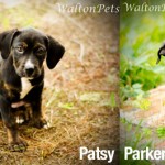 PatsyandParker