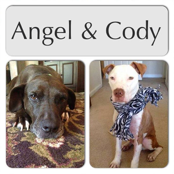 Angel and Cody