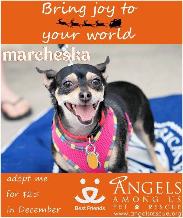 Marcheska