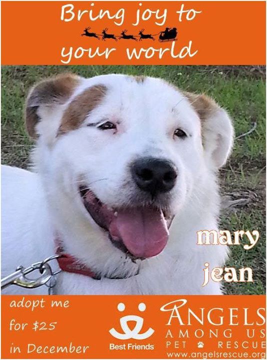 Mary Jean
