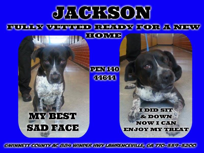 GwinnettJackson