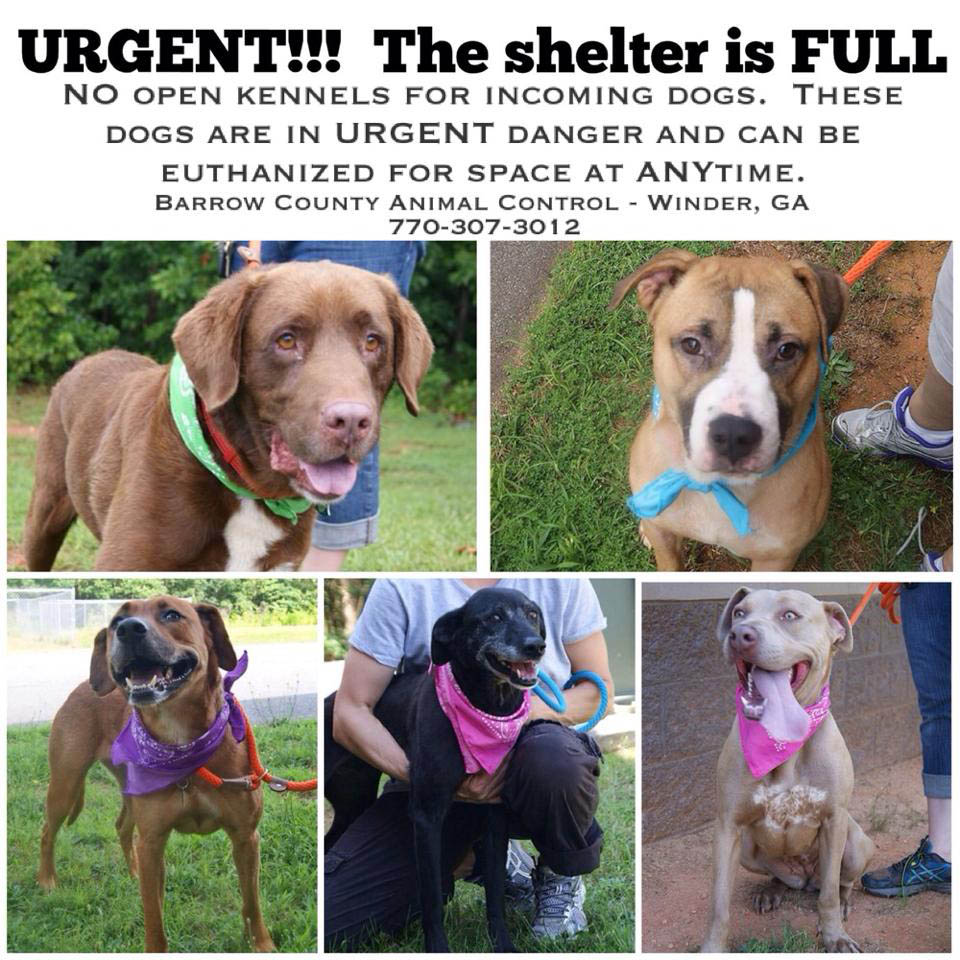 Barrow Urgent