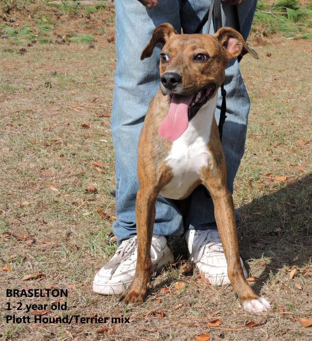 Braselton WW