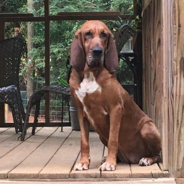 Abby