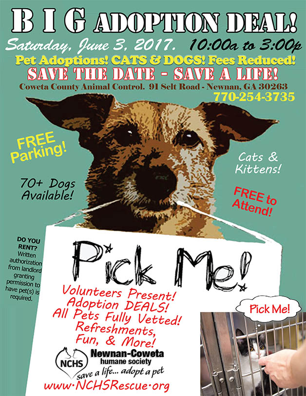 BIG Adoption Deal.psd