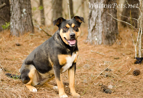 WaltonBetty
