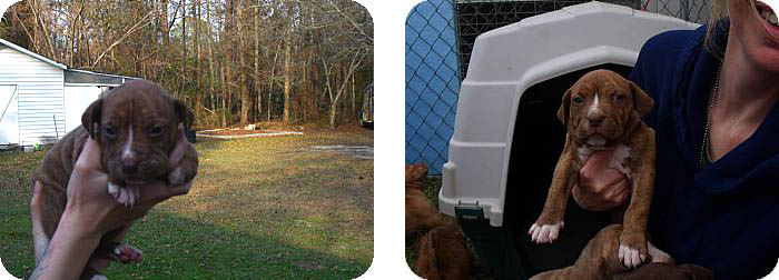 PeachCountyRileaComp