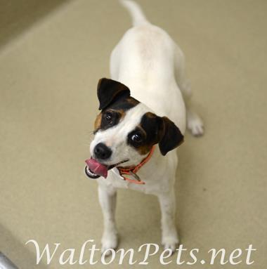 WaltonBitsy