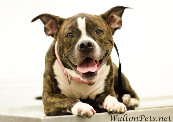 WaltonGrace