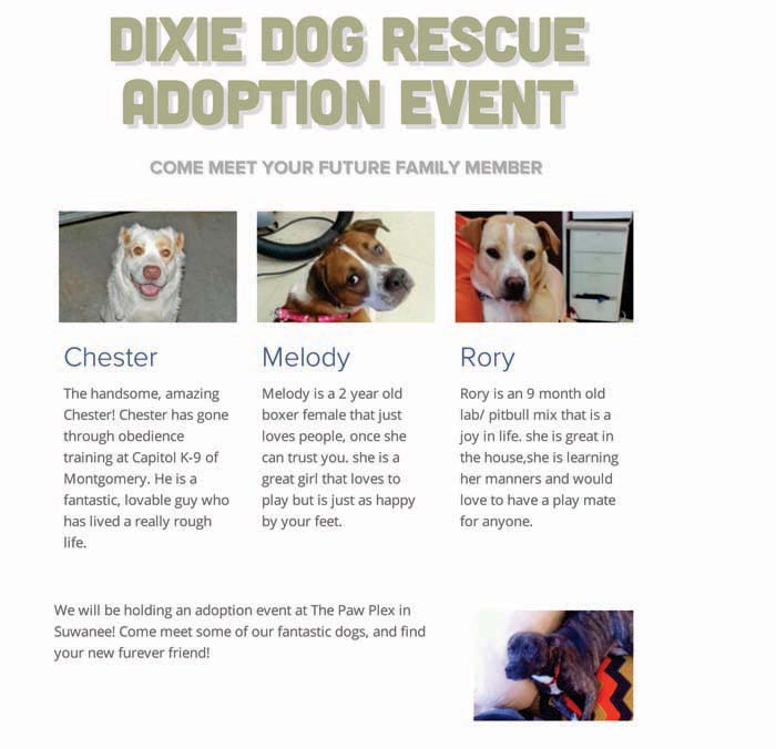 Dixie Dog Rescue Adoption Event | Smore