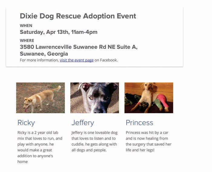 Dixie Dog Rescue Adoption Event | Smore