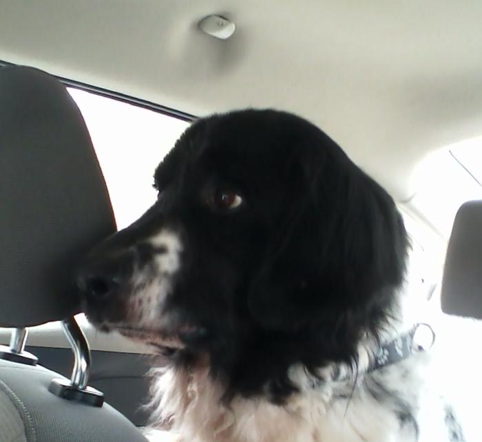 Luke Freedom Ride