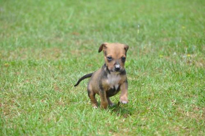 WR_Bella
