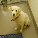 Georgia Political News for Thursday, Feb. 23, 2012
