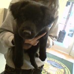 Georgia Political News for April 13, 2012