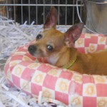 Georgia Political News for April 23, 2012