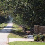Photos from Morgan County, Georgia