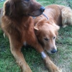 Georgia Political News for April 26, 2012