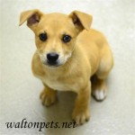Georgia Political News for March 21, 2012