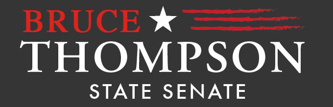 Bruce Thompson Georgia Senate GaPundit