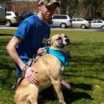 Adoptable Georgia Dogs for May 10, 2013