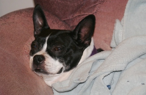 Desiree Baker Couch Potato
