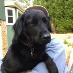 Georgia Political News for February 14, 2012