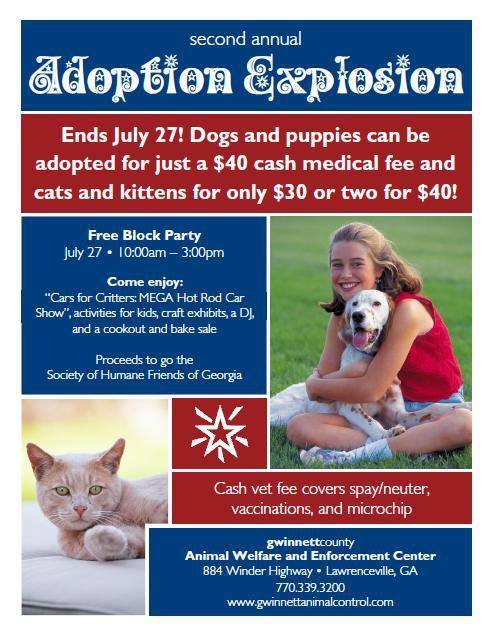 GwinnettAdoptionExplosion