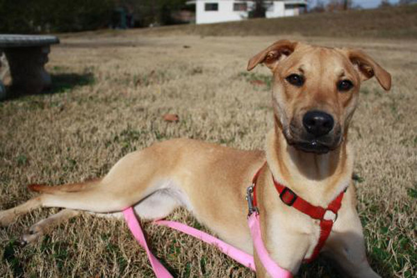 MilledgevilleAbby