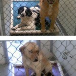 Georgia Political News for March 16, 2012
