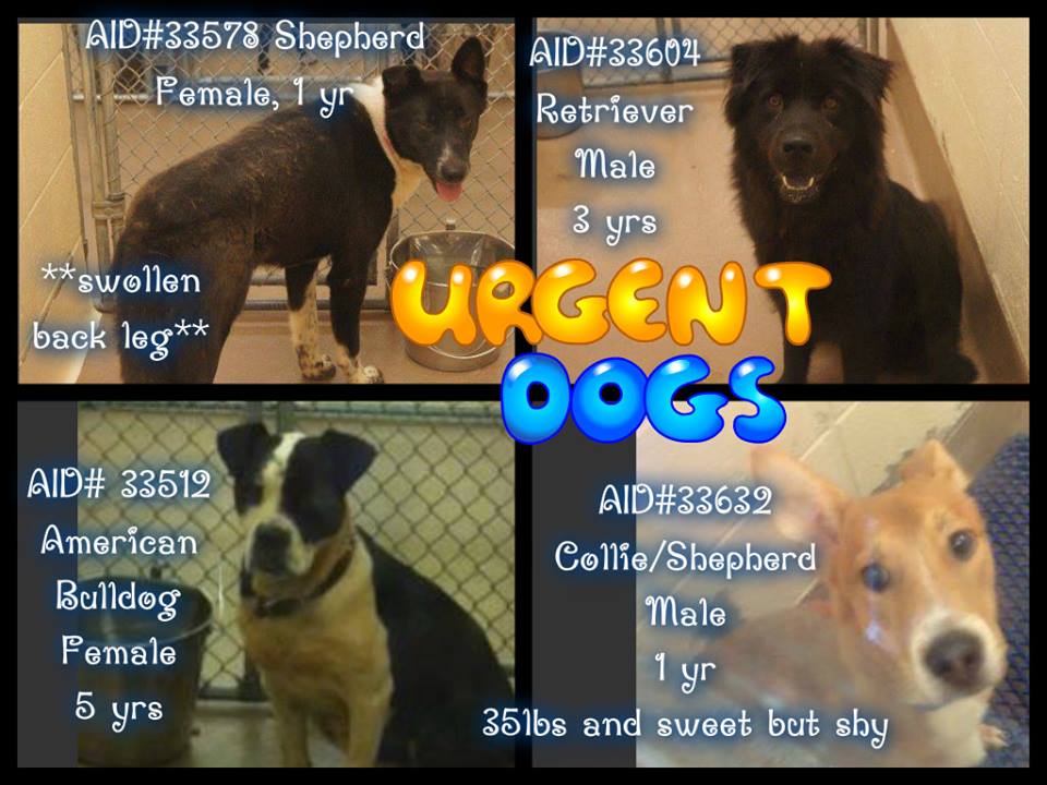 Gwinnett Four Urgents
