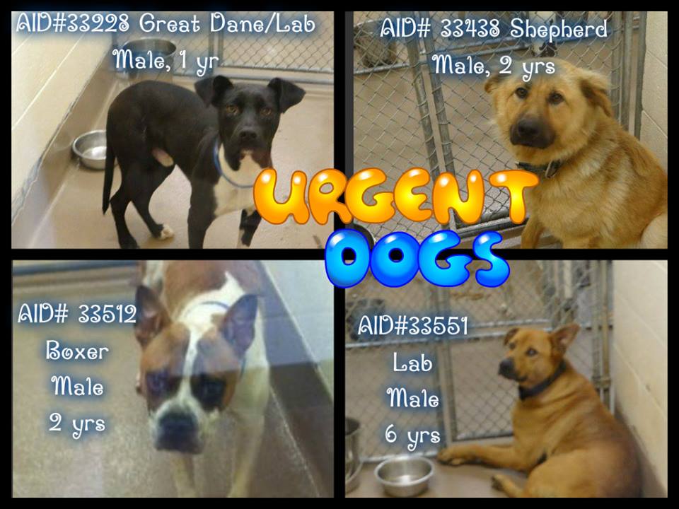 Urgent2Gwinnett