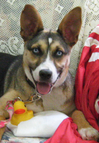 Kaia1
