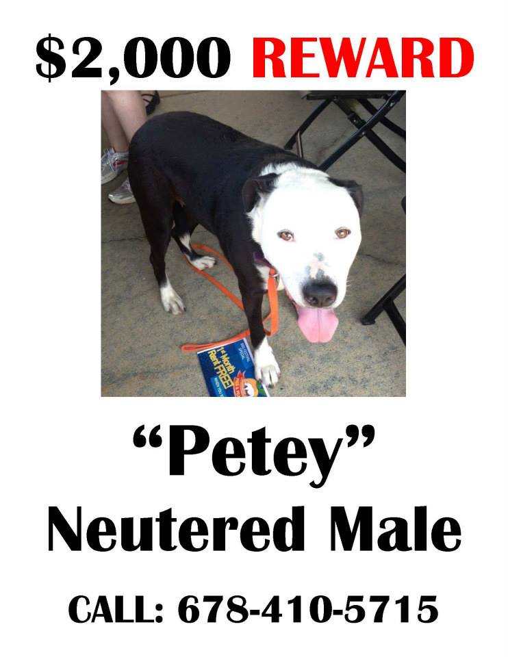 PeteyPit