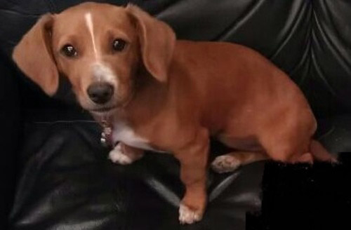 Sadie Mae
