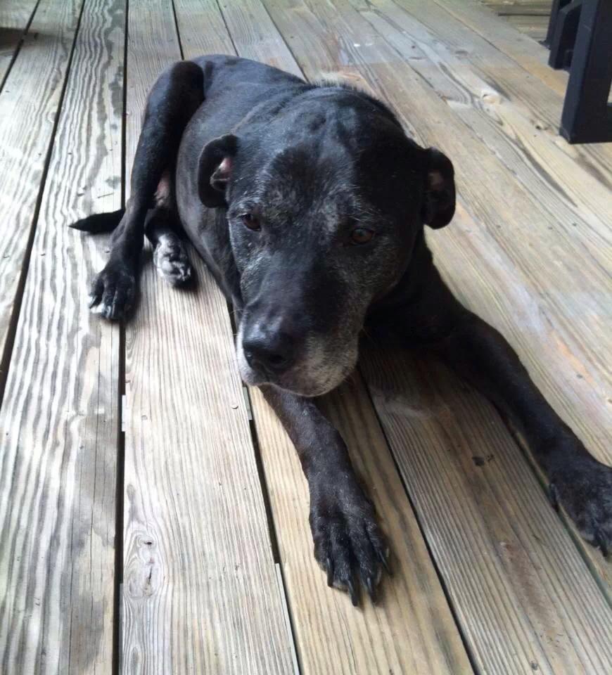 Old Lab1
