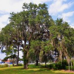 On the road in South Georgia, part two