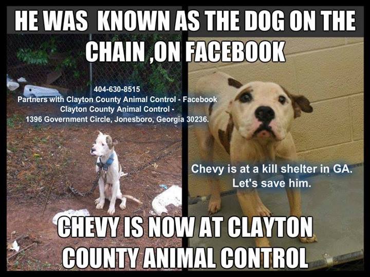Chevy