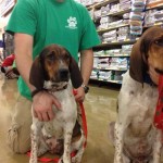 Georgia Adoptable Dogs for September 19, 2013