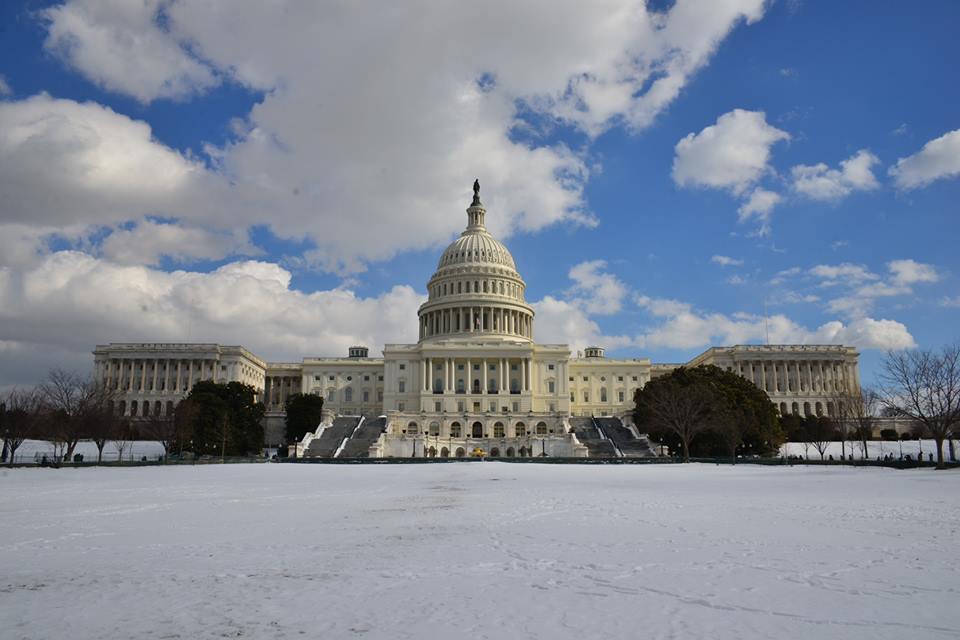 Capitol Winter 2