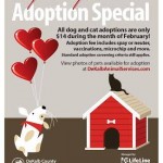 Adoptable Georgia Dogs for February 14, 2014