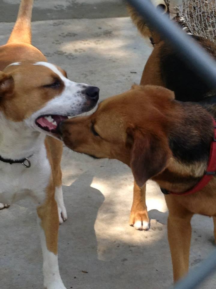 Sonny and Molly