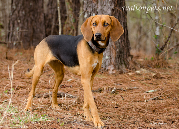 WaltonMaggie