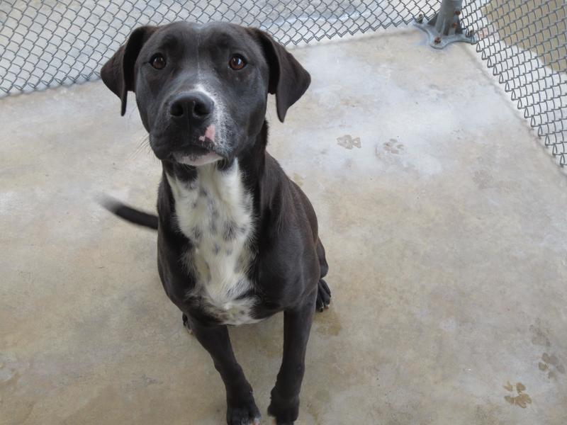 0341Murphy