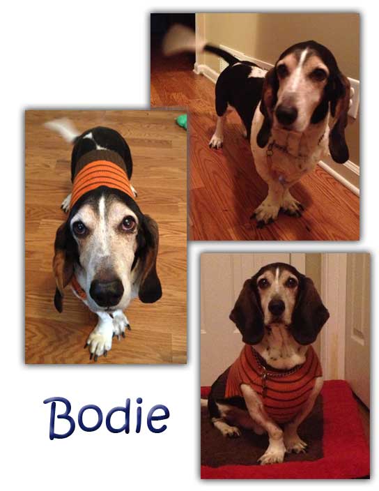 Bodie