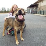 Adoptable Georgia Dogs for March 18, 2014 “Short timers”