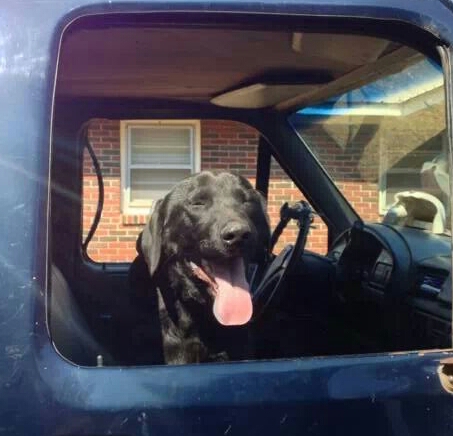Gunner