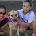 Adoptable Georgia Dogs for April 15, 2014