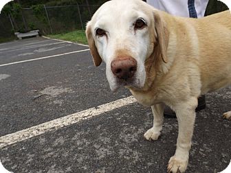 Sweet Senior Face