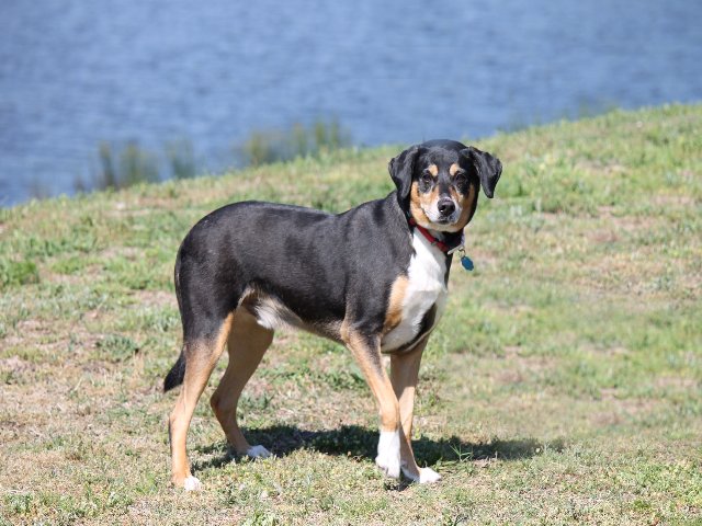 Buster